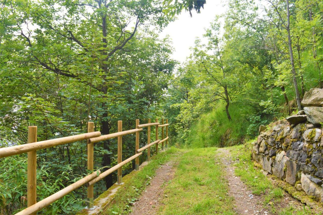 Gold Cave Casa Vacanze Relax Nel Bosco Appartamenti Pessinetto Εξωτερικό φωτογραφία